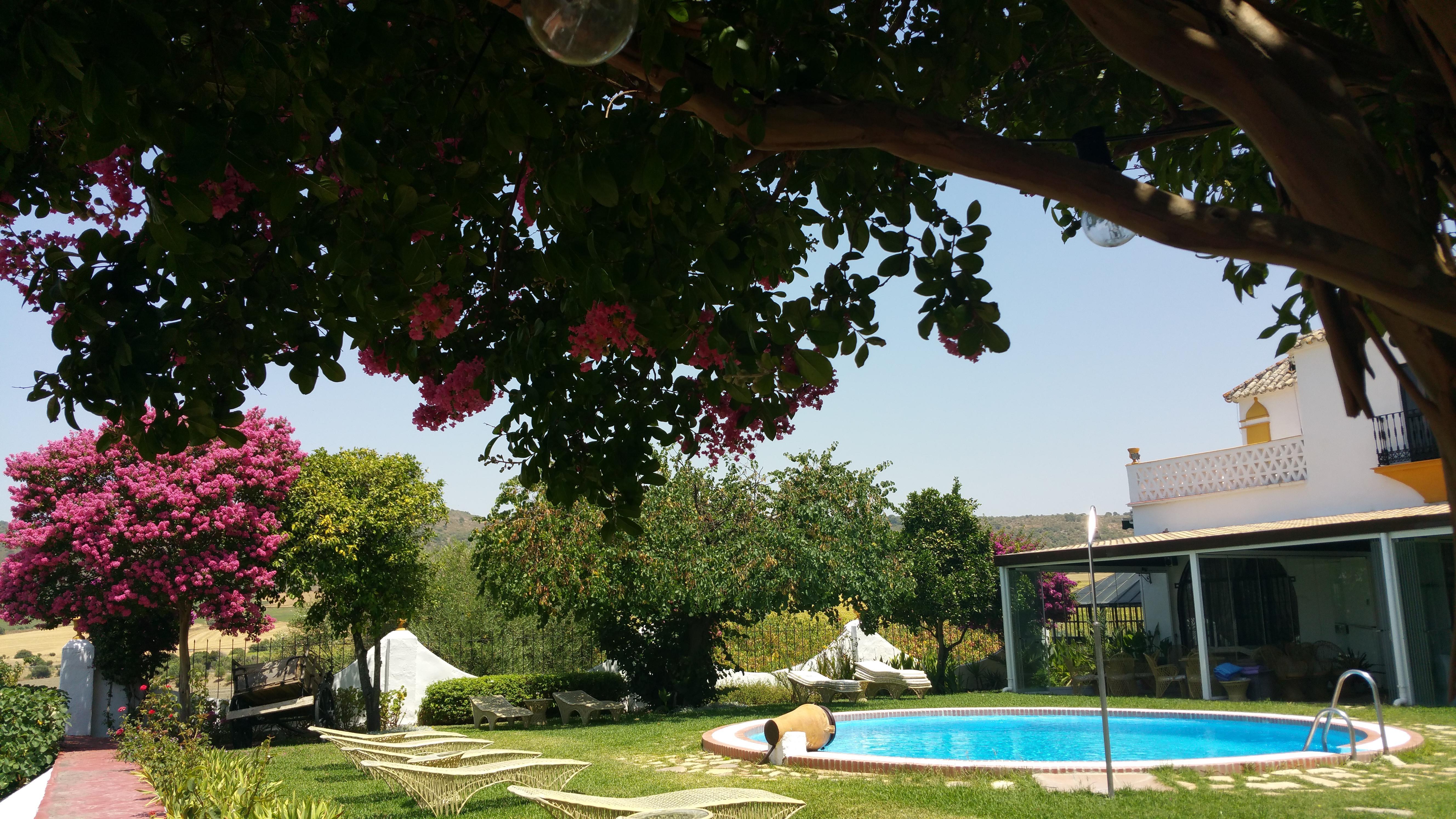 Hacienda El Santiscal Adults Only Hotel Arcos de la Frontera Luaran gambar