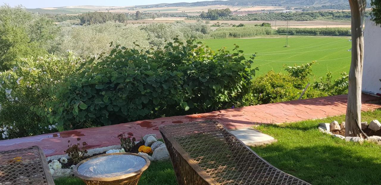 Hacienda El Santiscal Adults Only Hotel Arcos de la Frontera Luaran gambar